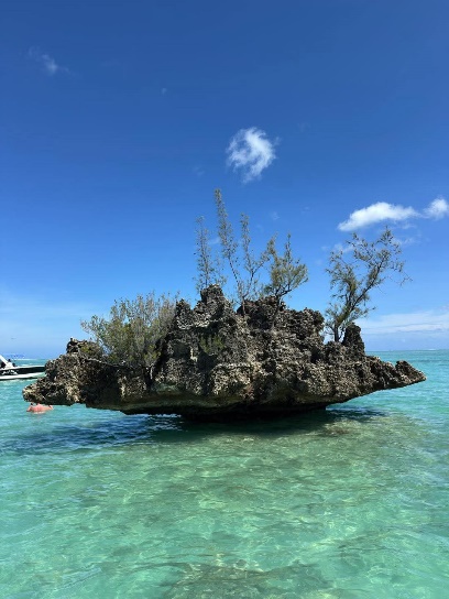 Ile aux Benitiers 2