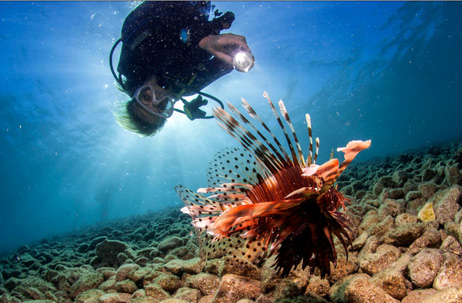 East Belle Mare Scuba Diving Tour 3