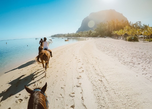 Horse Riding 2