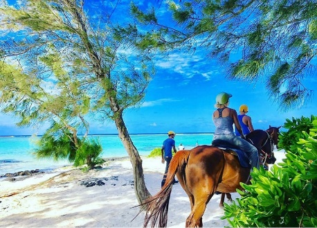 Horse Riding 3