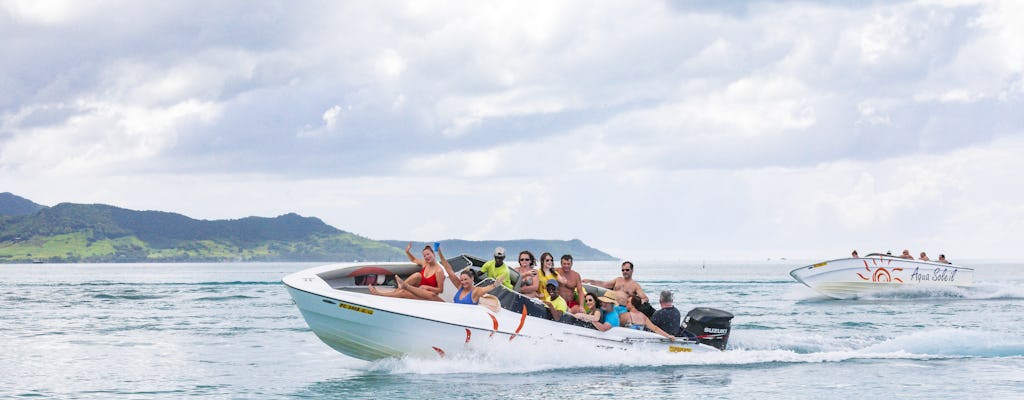 Snorkel and Swim with Dolphins 2