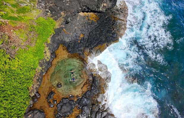 Wild South Coast 4